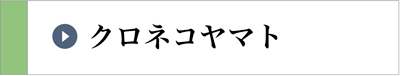 クロネコヤマト